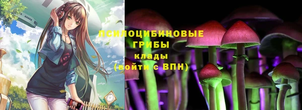 дурь Абаза